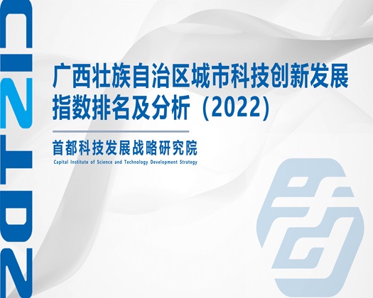 欧美大鸡巴操死中国小骚逼【成果发布】广西壮族自治区城市科技创新发展指数排名及分析（2022）